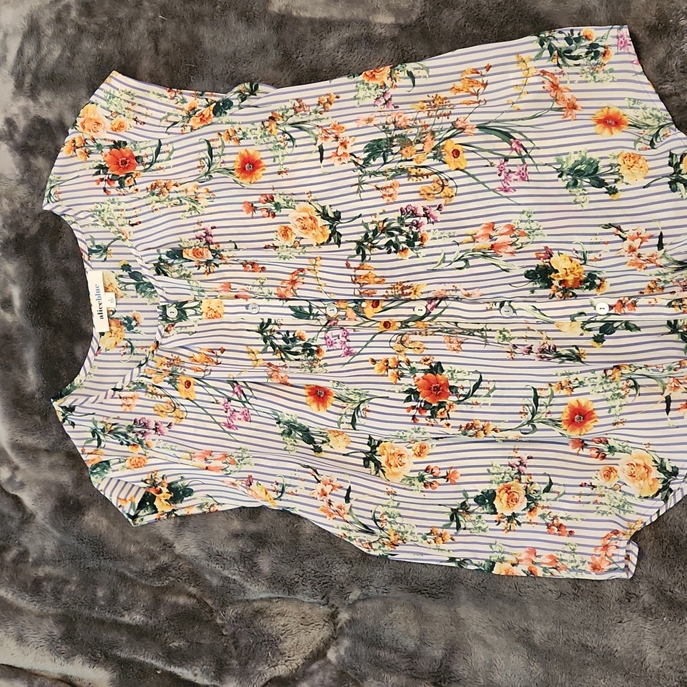 Alice Blue Blouse